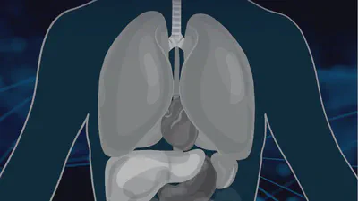 Deep Learning for Localization and Segmentation in Thorax Abdomen CT featured image